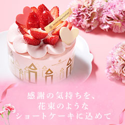 母の日にぴったりな華やかショートケーキ