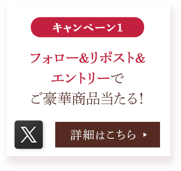 X フォロー＆リポスト＆エントリーでご豪華商品当たる！
