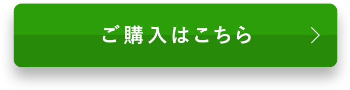 ご購入はこちら