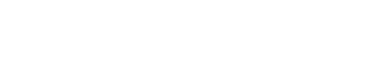 高級感のある華やかなデザインお年賀ギフトにも